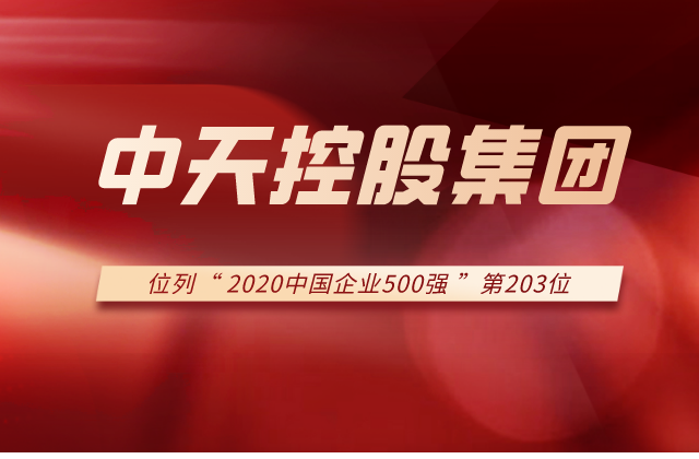 4001百老汇集团列2020中国企业500强第203位！