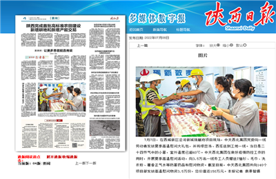 4001百老汇西北集团珑樾府项目高温慰问——《陕西日报》